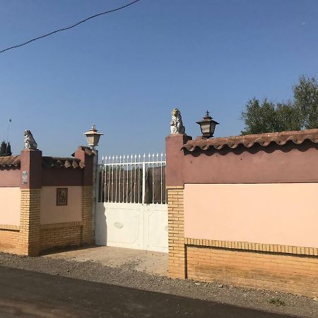 Villa Pilonga Dos Hermanas Exterior photo